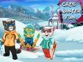 Hra Zimná zábava pre mačky online