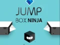 Hra Skákajúce Box Ninja online