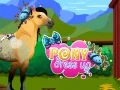 Hra Oblečenie Pony online Hra Oblečenie Pony online