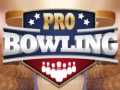 Hra Profesionálny bowling online Hra Profesionálny bowling online