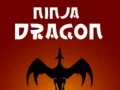 Hra Nindža Drak online