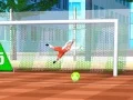 Hra Ulicový voľný kop 3D online