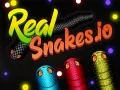 Hra Skutočné Hadie.io online Hra Skutočné Hadie.io online