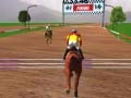 Hra Šampióni v skákaní na koňoch online Hra Šampióni v skákaní na koňoch online