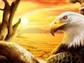 Hra Orol online Hra Orol online