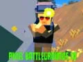 Hra Pixel Bitkárske Poľia.IO online