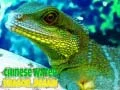 Hra Puzzle s čínskym vodným drakom online Hra Puzzle s čínskym vodným drakom online