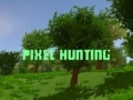 Hra Lov na pixely online