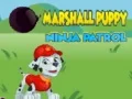 Hra Patrón Ninja Šteniatka Marshall online Hra Patrón Ninja Šteniatka Marshall online