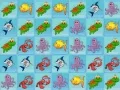 Hra Zbierka Morského Sveta online Hra Zbierka Morského Sveta online