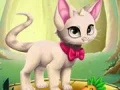 Hra Magický Tvorca Domácich Zvierat online Hra Magický Tvorca Domácich Zvierat online