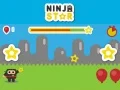 Hra Nindža Hvězda online Hra Nindža Hvězda online
