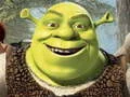 Hra Shrek: Zbierka Hádankových Hracích online Hra Shrek: Zbierka Hádankových Hracích online