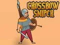 Hra Kryžbowý Sniper online
