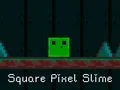 Hra Štvorcový Pixel Slime online Hra Štvorcový Pixel Slime online
