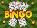 Hra Bingo Odhalený online Hra Bingo Odhalený online
