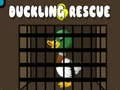 Hra Záchrana kačičiek online Hra Záchrana kačičiek online