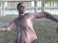 Hra FPS Prežitie Zombi v Temnom Lese online