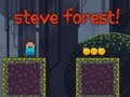 Hra Steveho les online