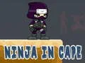 Hra Ninja v Plášti online Hra Ninja v Plášti online