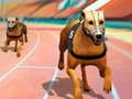 Hra Psy3D Preteky online