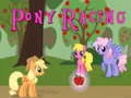 Hra Jazda na Pony online Hra Jazda na Pony online
