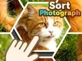 Hra Triediť fotografie online Hra Triediť fotografie online