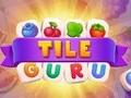 Hra Gurú Dlaždíc online Hra Gurú Dlaždíc online