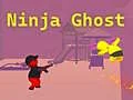 Hra Ninja Duch online