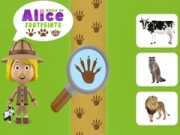 Hra Svet Aliciných stôp online