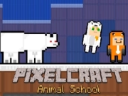 Hra PixelCraft Zverinová škola online