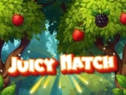 Hra Šťavnaté zápasy online