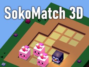 Hra Sokomatch 3D online
