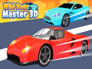 Hra Divoký závod: Master 3D online