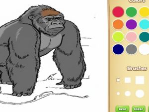 Hra Kniha sfarbenie pre deti: Zoo Animal online