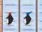 Hra Pinguin: Rybia Beh online