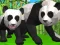 Hra Simulátor pandy 3D online