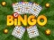 Hra Bingo online