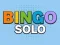 Hra Bingo Solo online