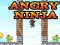 Hra Nahnevaný Ninja online