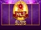 Hra Divoký Slot online Hra Divoký Slot online