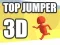 Hra Top Skokan 3D online