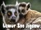 Hra Puzzle Lemur Zoo online