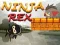 Hra Ninja Rex online