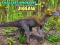 Hra Puzzle najmenších dinosaurov online