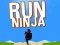 Hra Bež Nindža online Hra Bež Nindža online