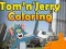 Hra Farbenie Toma a Jerryho online