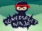 Hra Ninja Prevrat online