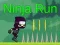 Hra Ninja beh online