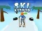 Hra Ski Rush 3D online